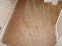 Elliots Carpet Cleaning 353010 Image 3